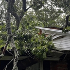 Frady Tree Care