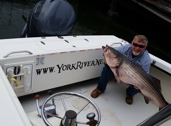 York River Charters - Gloucester Point, VA