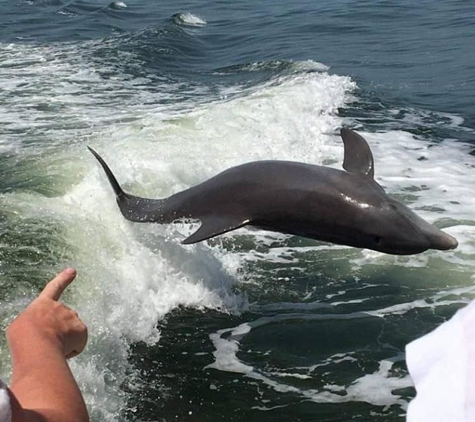 Sea Racer Tours - Fort Myers Beach, FL