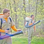 Mosquito Hunters of Chicago