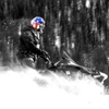Monarch Snowmobile Tours gallery