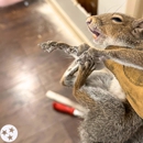 Alpha Wildlife Richmond - Pest Control Equipment & Supplies