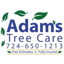 Adams Tree Care - Tree Service