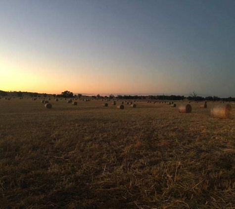 Dave Henry - Hallsville, NSW
