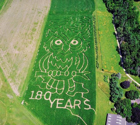 Ten Eyck Orchard - Brodhead, WI