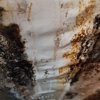 True Restorations, Inc. gallery