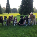 Zen Pet Care Services - Dog Parks
