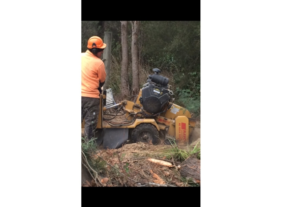 Hobart Tree Chipping & Recycling