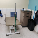 Petco Grooming - Pet Grooming