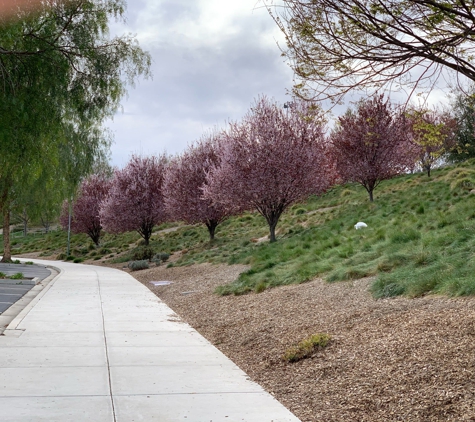 Rancho San Ramon Community Park - San Ramon, CA