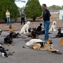 Inghram's Sit N Stay Dog Academy - Pet Training