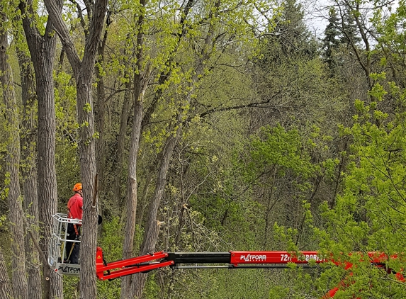 Twin City Tree Service - Saint Paul, MN. Hard to get to areas...No Problem for our Spider lift.