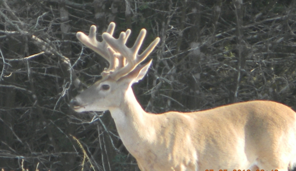 Pinto Ranch - Hunt, TX