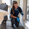 got bugs? Termite and Pest Solutions gallery