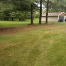 Rogers WoodCutters - Tree Service