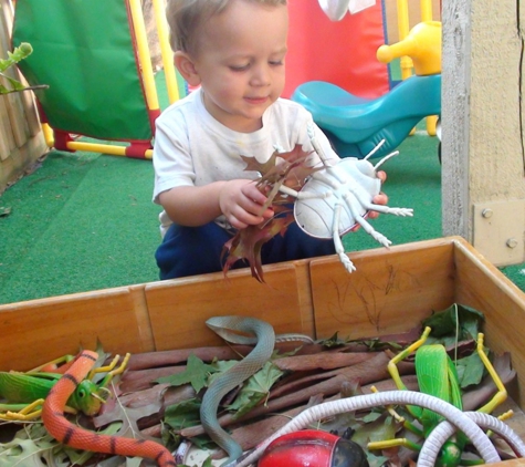 Little Raskals Kindergarten & Child Care Centre - Nunawading, VIC