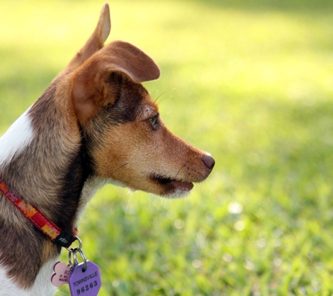 Western Suburbs Veterinary Clinic