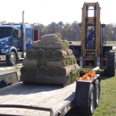 Turf's Up Contracting - Sod & Sodding Service