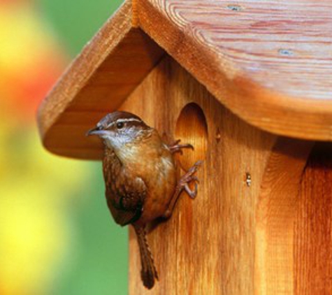 Wild Birds Unlimited - Albuquerque, NM