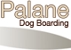 Palane Blue Mountains Dog & Cat Boarding - Dog Boarding Kennels