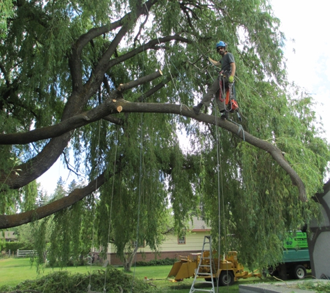 green and leafy natural tree care - bend, OR