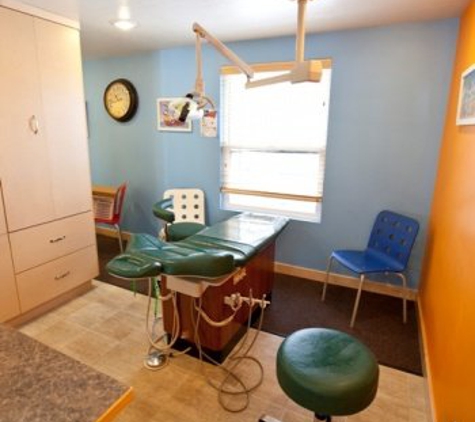 Burg Children's Dentistry - Park City, UT