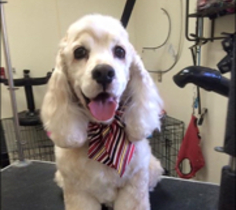 Pride & Groom, LLC - Biloxi, MS