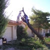 Seguin Animal Removal gallery