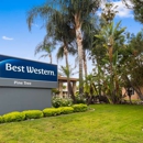 Best Western Pine Tree Motel - Hotels