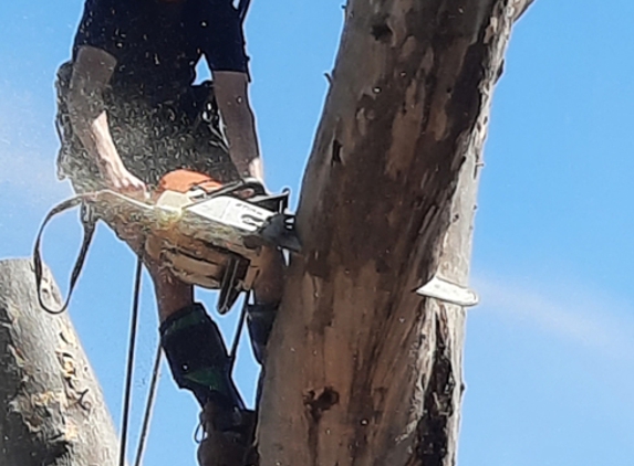 Cape Tree Service Mount Barker, Porongurup and Kendenup - Mount Barker, WA