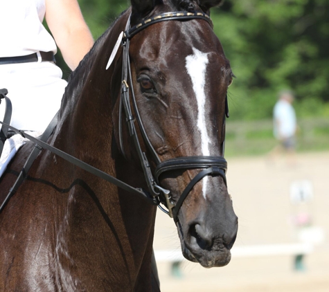 Keywood Animal Clinic - Abingdon, VA