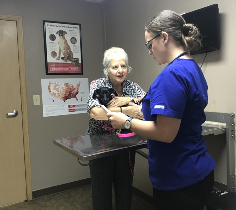 Colorado River Animal Medical Center - Bullhead City, AZ. Ebony gets her physical exam.