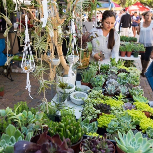 Feel Good Planters - Corona, CA