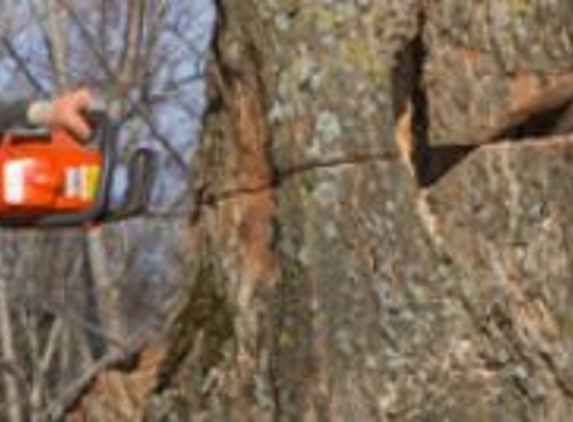 A & D Tree Cutters Unlimited LLC - Richmond, VA