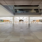 Apple Ridgedale