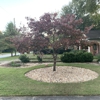 Lawn Doctor of Columbus-Phenix City gallery