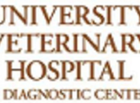 University Veterinary Hospital & Diagnostic Center - Salt Lake City, UT