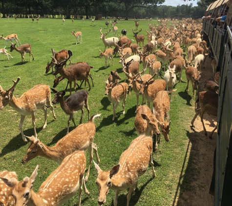 Global Wildlife Center - Folsom, LA