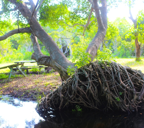 Airboat Rides Miami - Miami Beach, FL. Isand in the Everglades