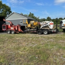 Anytown Tree Service Inc - Tree Service