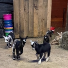Annabessacook Veterinary Clinic