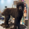 Pooch Parlor Mobile Grooming gallery