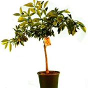Gallery Image Number 1