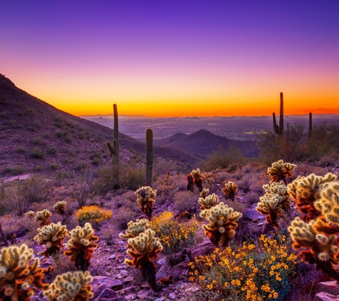 Slide Right of Tucson - Tucson, AZ