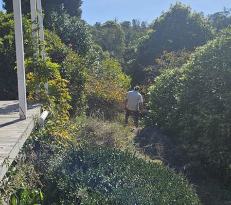 Cut & Brush Home Maintenance & Design - Trevallyn, TAS