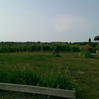 Silver Leaf Vineyard & Winery