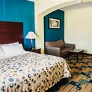 Three Rivers Inn & Suites - Hotels