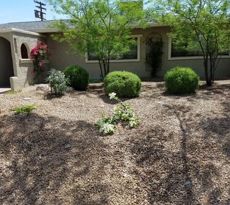 Luis Landscaping, LLC - Glendale, AZ