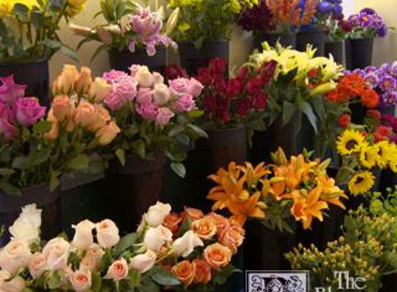 Flower Shop - Washington, PA