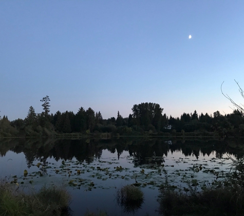 Larsen Lake Blueberry Farm - Bellevue, WA